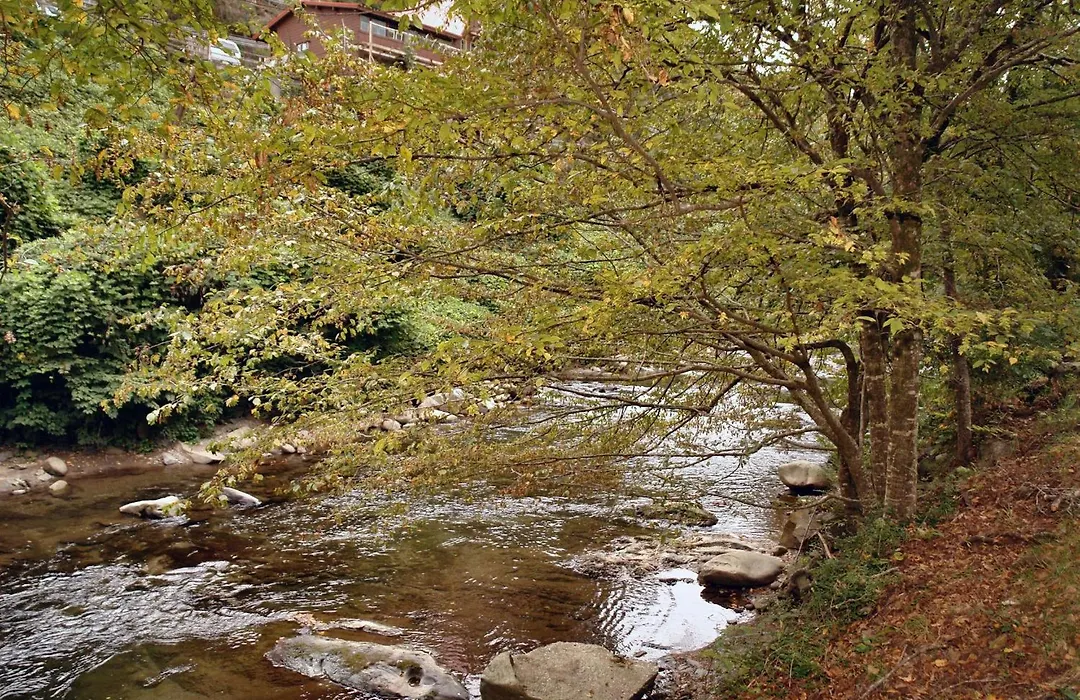 River Dream #466-1